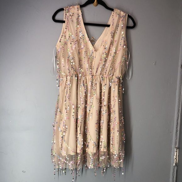 Southern Fried Chics Mini Dress Womens XL  Beige Shimmy For Me Mesh Sequins - Picture 5 of 16